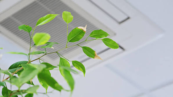 Indoor air quality solutions in Brevard, NC