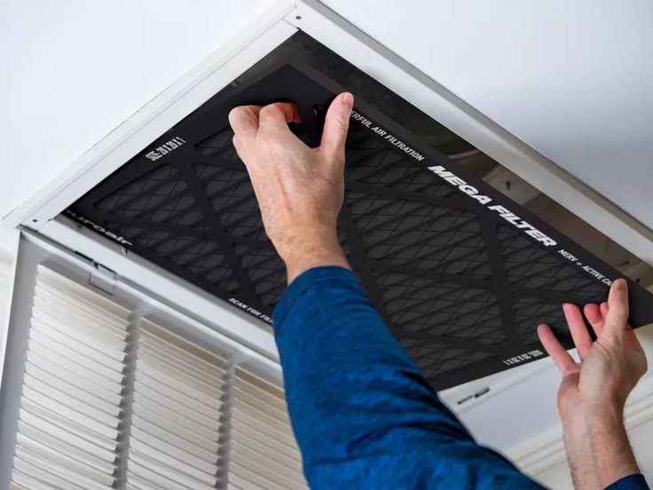 Whole-home air purifier